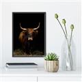 Picture of Dixie, the Bull II _GroupedProduct_Rectangle_Portrait_Photography _GroupedProduct_Rectangle_Portrait_Canvas_Framed_