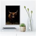 Picture of Dixie, the Bull II _GroupedProduct_Rectangle_Portrait_Photography _GroupedProduct_Rectangle_Portrait_Canvas_Framed_