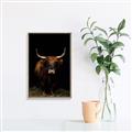 Picture of Dixie, the Bull II _GroupedProduct_Rectangle_Portrait_Photography _GroupedProduct_Rectangle_Portrait_Canvas_Framed_