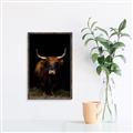 Picture of Dixie, the Bull II _GroupedProduct_Rectangle_Portrait_Photography _GroupedProduct_Rectangle_Portrait_Canvas_Framed_