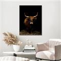 Picture of Dixie, the Bull II _GroupedProduct_Rectangle_Portrait_Photography _GroupedProduct_Rectangle_Portrait_Canvas_Framed_