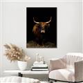 Picture of Dixie, the Bull II _GroupedProduct_Rectangle_Portrait_Photography _GroupedProduct_Rectangle_Portrait_Canvas_Framed_