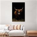 Picture of Dixie, the Bull II _GroupedProduct_Rectangle_Portrait_Photography _GroupedProduct_Rectangle_Portrait_Canvas_Framed_