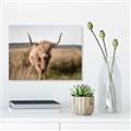 Picture of Beautiful Cow, Bella  _GroupedProduct_Rectangle_Landscape_Photography _GroupedProduct_Rectangle_Landscape_Unframed_Print_Only_
