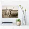 Picture of Beautiful Cow, Bella  _GroupedProduct_Rectangle_Landscape_Photography _GroupedProduct_Rectangle_Landscape_Unframed_Print_Only_