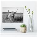 Picture of Beautiful Cow, Bella  _GroupedProduct_Rectangle_Landscape_Photography _GroupedProduct_Rectangle_Landscape_Unframed_Print_Only_