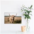 Picture of Beautiful Cow, Bella  _GroupedProduct_Rectangle_Landscape_Photography _GroupedProduct_Rectangle_Landscape_Unframed_Print_Only_
