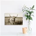 Picture of Beautiful Cow, Bella  _GroupedProduct_Rectangle_Landscape_Photography _GroupedProduct_Rectangle_Landscape_Unframed_Print_Only_