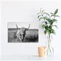 Picture of Beautiful Cow, Bella  _GroupedProduct_Rectangle_Landscape_Photography _GroupedProduct_Rectangle_Landscape_Unframed_Print_Only_