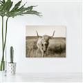 Picture of Beautiful Cow, Bella  _GroupedProduct_Rectangle_Landscape_Photography _GroupedProduct_Rectangle_Landscape_Unframed_Print_Only_