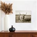 Picture of Beautiful Cow, Bella  _GroupedProduct_Rectangle_Landscape_Photography _GroupedProduct_Rectangle_Landscape_Unframed_Print_Only_