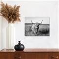 Picture of Beautiful Cow, Bella  _GroupedProduct_Rectangle_Landscape_Photography _GroupedProduct_Rectangle_Landscape_Unframed_Print_Only_