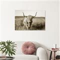 Picture of Beautiful Cow, Bella  _GroupedProduct_Rectangle_Landscape_Photography _GroupedProduct_Rectangle_Landscape_Unframed_Print_Only_
