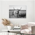 Picture of Beautiful Cow, Bella  _GroupedProduct_Rectangle_Landscape_Photography _GroupedProduct_Rectangle_Landscape_Unframed_Print_Only_
