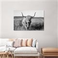 Picture of Beautiful Cow, Bella  _GroupedProduct_Rectangle_Landscape_Photography _GroupedProduct_Rectangle_Landscape_Unframed_Print_Only_