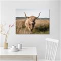 Picture of Beautiful Cow, Bella  _GroupedProduct_Rectangle_Landscape_Photography _GroupedProduct_Rectangle_Landscape_Unframed_Print_Only_