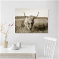 Picture of Beautiful Cow, Bella  _GroupedProduct_Rectangle_Landscape_Photography _GroupedProduct_Rectangle_Landscape_Unframed_Print_Only_