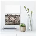 Picture of Bicycle Basket _GroupedProduct_Rectangle_Portrait_Photography _GroupedProduct_Rectangle_Portrait_Unframed_Print_Only_