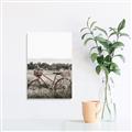 Picture of Bicycle Basket _GroupedProduct_Rectangle_Portrait_Photography _GroupedProduct_Rectangle_Portrait_Unframed_Print_Only_
