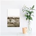 Picture of Bicycle Basket _GroupedProduct_Rectangle_Portrait_Photography _GroupedProduct_Rectangle_Portrait_Unframed_Print_Only_