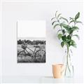 Picture of Bicycle Basket _GroupedProduct_Rectangle_Portrait_Photography _GroupedProduct_Rectangle_Portrait_Unframed_Print_Only_