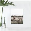 Picture of Bicycle Basket _GroupedProduct_Rectangle_Portrait_Photography _GroupedProduct_Rectangle_Portrait_Unframed_Print_Only_