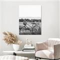 Picture of Bicycle Basket _GroupedProduct_Rectangle_Portrait_Photography _GroupedProduct_Rectangle_Portrait_Unframed_Print_Only_