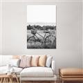 Picture of Bicycle Basket _GroupedProduct_Rectangle_Portrait_Photography _GroupedProduct_Rectangle_Portrait_Unframed_Print_Only_