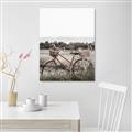 Picture of Bicycle Basket _GroupedProduct_Rectangle_Portrait_Photography _GroupedProduct_Rectangle_Portrait_Unframed_Print_Only_