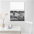 Picture of Bicycle Basket _GroupedProduct_Rectangle_Portrait_Photography _GroupedProduct_Rectangle_Portrait_Unframed_Print_Only_