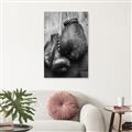 Picture of Boxing Gloves _GroupedProduct_Rectangle_Portrait_Photography _GroupedProduct_Rectangle_Portrait_Unframed_Print_Only_