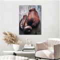 Picture of Boxing Gloves _GroupedProduct_Rectangle_Portrait_Photography _GroupedProduct_Rectangle_Portrait_Unframed_Print_Only_