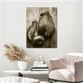Picture of Boxing Gloves _GroupedProduct_Rectangle_Portrait_Photography _GroupedProduct_Rectangle_Portrait_Unframed_Print_Only_