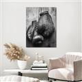 Picture of Boxing Gloves _GroupedProduct_Rectangle_Portrait_Photography _GroupedProduct_Rectangle_Portrait_Unframed_Print_Only_