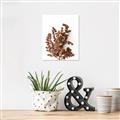 Picture of Brown Fall  _GroupedProduct_Rectangle_Portrait_Photography _GroupedProduct_Rectangle_Portrait_Unframed_Print_Only_