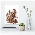 Picture of Brown Fall  _GroupedProduct_Rectangle_Portrait_Photography _GroupedProduct_Rectangle_Portrait_Unframed_Print_Only_