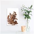 Picture of Brown Fall  _GroupedProduct_Rectangle_Portrait_Photography _GroupedProduct_Rectangle_Portrait_Unframed_Print_Only_