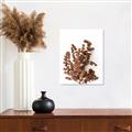 Picture of Brown Fall  _GroupedProduct_Rectangle_Portrait_Photography _GroupedProduct_Rectangle_Portrait_Unframed_Print_Only_