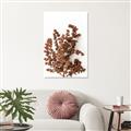 Picture of Brown Fall  _GroupedProduct_Rectangle_Portrait_Photography _GroupedProduct_Rectangle_Portrait_Unframed_Print_Only_