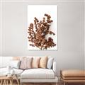 Picture of Brown Fall  _GroupedProduct_Rectangle_Portrait_Photography _GroupedProduct_Rectangle_Portrait_Unframed_Print_Only_