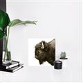 Picture of Buffalo Head _GroupedProduct_Square_Photography _GroupedProduct_Square_Unframed_Print_Only_