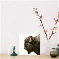 Picture of Buffalo Head _GroupedProduct_Square_Photography _GroupedProduct_Square_Unframed_Print_Only_