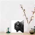 Picture of Buffalo Head _GroupedProduct_Square_Photography _GroupedProduct_Square_Unframed_Print_Only_