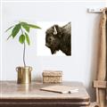 Picture of Buffalo Head _GroupedProduct_Square_Photography _GroupedProduct_Square_Unframed_Print_Only_