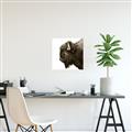 Picture of Buffalo Head _GroupedProduct_Square_Photography _GroupedProduct_Square_Unframed_Print_Only_