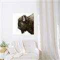 Picture of Buffalo Head _GroupedProduct_Square_Photography _GroupedProduct_Square_Unframed_Print_Only_