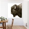 Picture of Buffalo Head _GroupedProduct_Square_Photography _GroupedProduct_Square_Unframed_Print_Only_