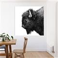 Picture of Buffalo Head _GroupedProduct_Square_Photography _GroupedProduct_Square_Unframed_Print_Only_