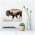 Picture of Buffalo March _GroupedProduct_Rectangle_Landscape_Photography _GroupedProduct_Rectangle_Landscape_Unframed_Print_Only_