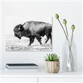 Picture of Buffalo March _GroupedProduct_Rectangle_Landscape_Photography _GroupedProduct_Rectangle_Landscape_Unframed_Print_Only_